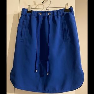 Royal blue skirt